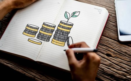 Guia completo de investimentos para iniciantes: Como começar do zero
